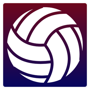 cricbet99 volleyball